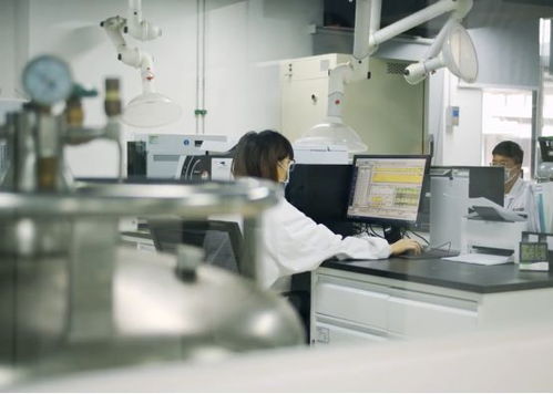 生產(chǎn)活力有序恢復(fù)，儀器儀表綜合服務(wù)與物聯(lián)網(wǎng)應(yīng)用雙輪驅(qū)動(dòng)助力企業(yè)提質(zhì)增效